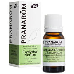 Pranarôm Huile Essentielle Eucalyptus Citronné (Eucalyptus citriodora) Bio 10 ml