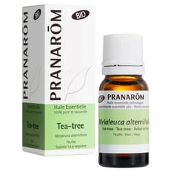 Pranarôm Huile Essentielle Tea-Tree (Melaleuca alternifolia) Bio 10 ml