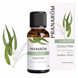 Pranarôm Eucaly’Pur, 30 ml, CEDAR, Eucalyptus, Menthol, Menthe, Menthe poivrée, Pin, Vétiver, Diffuseurs d'huiles essentielle ...