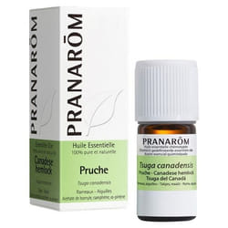 Pranarôm Huile Essentielle Pruche (Tsuga Canadensis) 5 ml