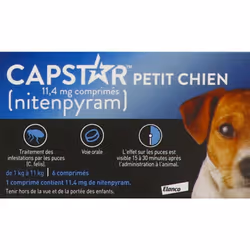Capstar 11.4Mg Chiens 6 Comprimés