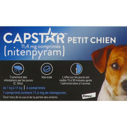 Capstar 11.4Mg Chiens 6 Comprimés