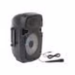 PARTY LIGHT & SOUND PARTY-7LED Enceinte portable 8’’/20cm - 300W avec USB/FM/Micro/Bluetooth