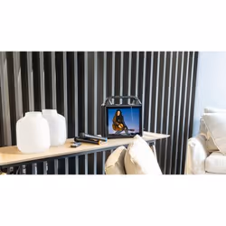 Ibiza Sound KARAVISION Enceinte de Fête Bluetooth 30 W Noir - Vue supplémentaire 5
