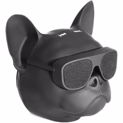 Ibiza Sound DOG-SOUND, Avec fil &sans fil, USB Type-C, Enceinte portable mono, Noir, Universel, MicroSD (TransFlash)