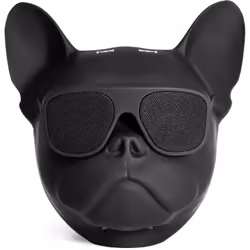 Ibiza Sound DOG-SOUND Enceinte portable mono Noir - Vue supplémentaire 4
