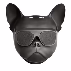 Ibiza Sound DOG-SOUND Enceinte portable mono Noir - Vue supplémentaire 5