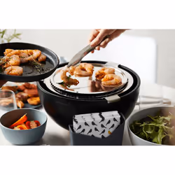 Barbecook Joya Barbecue Dessus de table Noir, Acier inoxydable