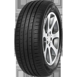 Minerva F 209 205-60R16 96V XL
