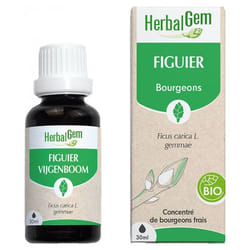 HerbalGem Figuier Bio 30 ml