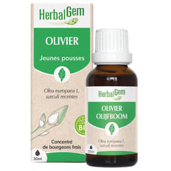 HerbalGem Olivier Bio 30 ml