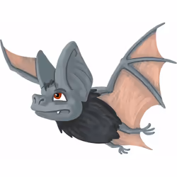 Asmodee Concept Kids Animaux
