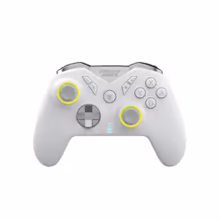 Dragonshock Nebula Pro, Manette de jeu, Nintendo Switch, Croix directionnelle, Bouton d'accueil, Bouton Démarrer, Touche Turb ...