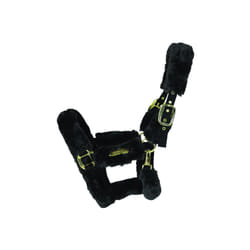 Licol de transport mouton Kentucky