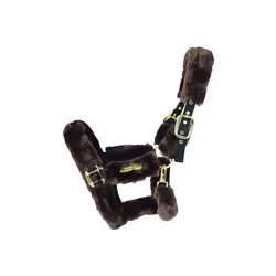 Licol de transport mouton Kentucky