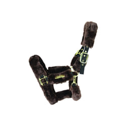 Licol de transport mouton Kentucky