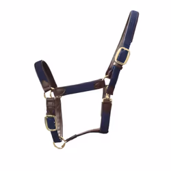Licol pour cheval nylon tressé Kentucky