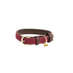 Collier pour chien en nylon tressé Kentucky