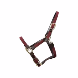 Licol pour cheval nylon tressé Kentucky