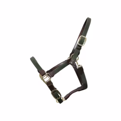 Licol pour cheval nylon tressé Kentucky