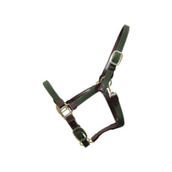 Licol pour cheval nylon tressé Kentucky