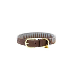 Collier pour chien triangle Kentucky