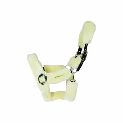 Têtière pour licol de transport mouton  Kentucky