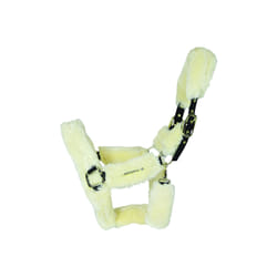 Têtière pour licol de transport mouton  Kentucky