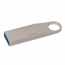 Kingston Technology DataTraveler SE9 G2 128GB