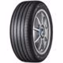 Pneu Été - GOODYEAR - EFFICIENTGRIP PERFORMANCE 2 - 205/55 R16 - Charge 91 - Vitesse W