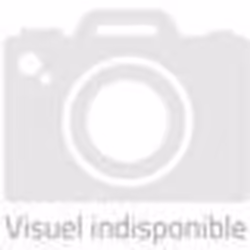 Pneu moto Dunlop Sportmax Roadsmart IV GT ZR 17 (73W) TL - TU