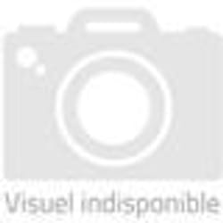 Pneu moto Dunlop Sportmax Roadsmart IV GT ZR 17 (75W) TL - TU