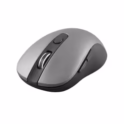 1Life 1IFEMWBLAZE, Droitier, Optique, RF sans fil, 1600 DPI, Noir, Gris