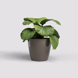 Artevasi San Remo Pot 6 pièce(s)