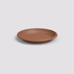 Artevasi Round Saucer, Soucoupe, Terre cuite, 2,6 L, 300 mm, 43 mm