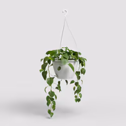 Artevasi Algarve Hanging Basket Blanc 5 pièce(s)