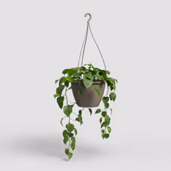 Artevasi Algarve Hanging Basket 5 pièce(s)
