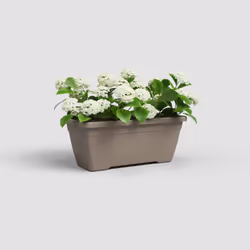 Artevasi Venezia Plant Box 12 pièce(s)