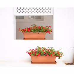 Artevasi Venezia Plant Box 12 pièce(s)