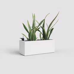 Artevasi Rimini Plant Box Sws Blanc 8 pièce(s)