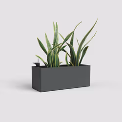Artevasi Rimini Plant Box Sws Anthracite 8 pièce(s) - Vue supplémentaire 2