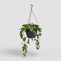 Artevasi Algarve Hanging Basket Anthracite 5 pièce(s)