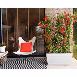 Artevasi Capri Xl Plant Box Anthracite 2 pièce(s) - Vue supplémentaire 7