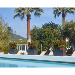 Artevasi Capri Xl Plant Box Anthracite 2 pièce(s) - Vue supplémentaire 8