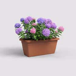 Artevasi Venezia Xl Plant Box 2 pièce(s)