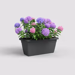 Artevasi Venezia Xl Plant Box Anthracite 2 pièce(s)