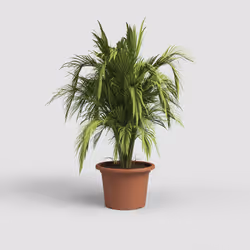 Artevasi Venezia Cilindro Pot 4 pièce(s)