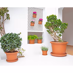Artevasi Venezia Cilindro Pot 4 pièce(s) - Vue supplémentaire 5