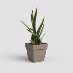 Artevasi Capri Square Pot 4 pièce(s)