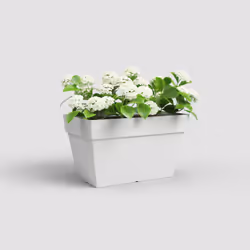 Artevasi Capri Xl Plant Box, Blanc, 55,2 L, 350 mm, 600 mm, 350 mm, 4 pièce(s)